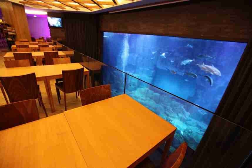 CINEAQUA