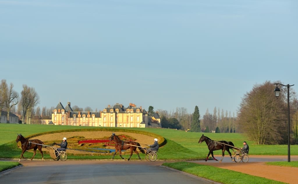 DOMAINE DE GROSBOIS