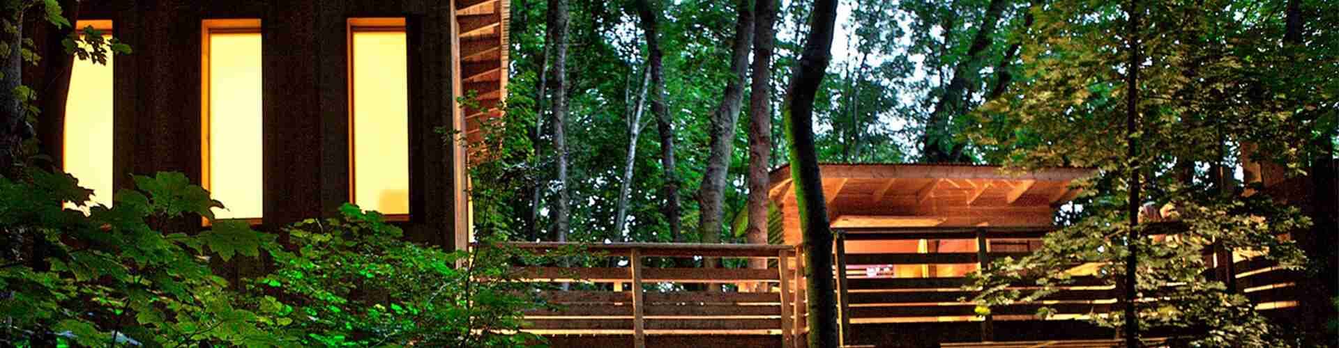 LA CABANE DE LYON 3
