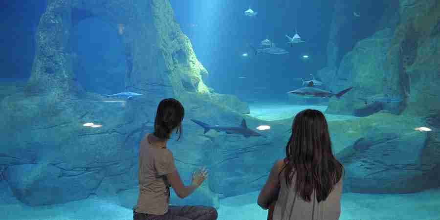 AQUARIUM BIARRITZ 2
