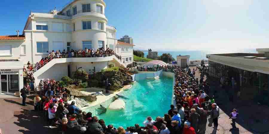 AQUARIUM BIARRITZ