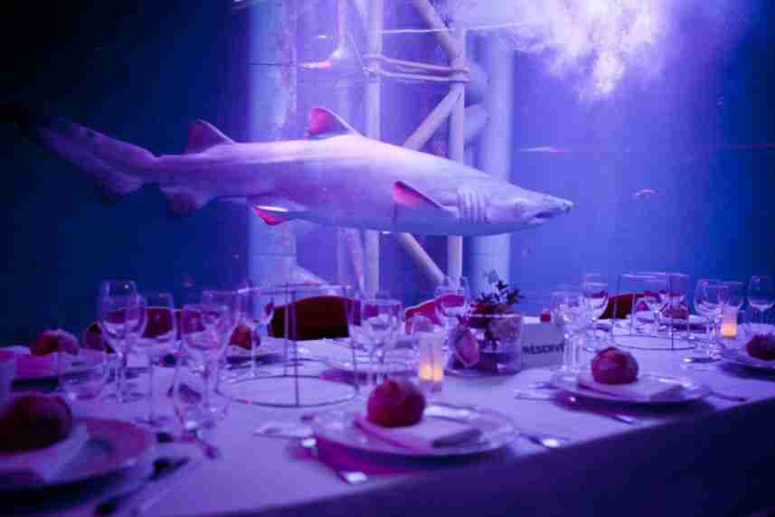 AQUARIUM DE SAINT MALO
