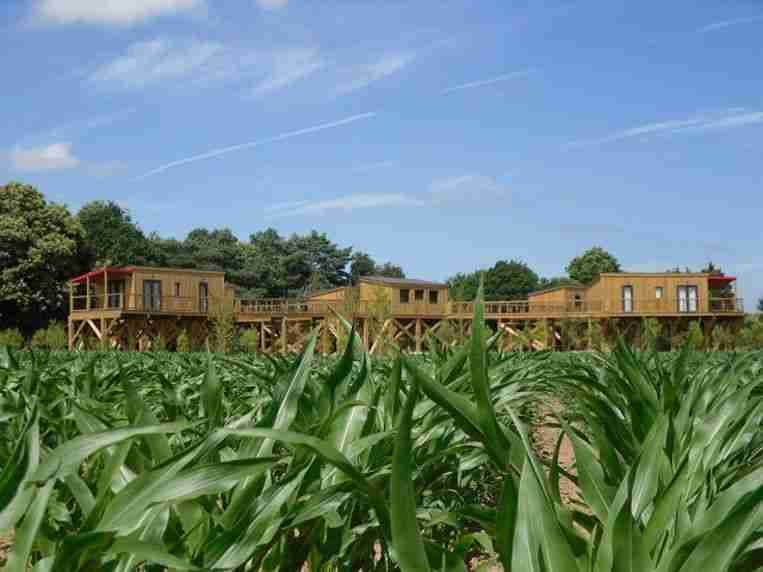 DOMAINE DE KERVALLON