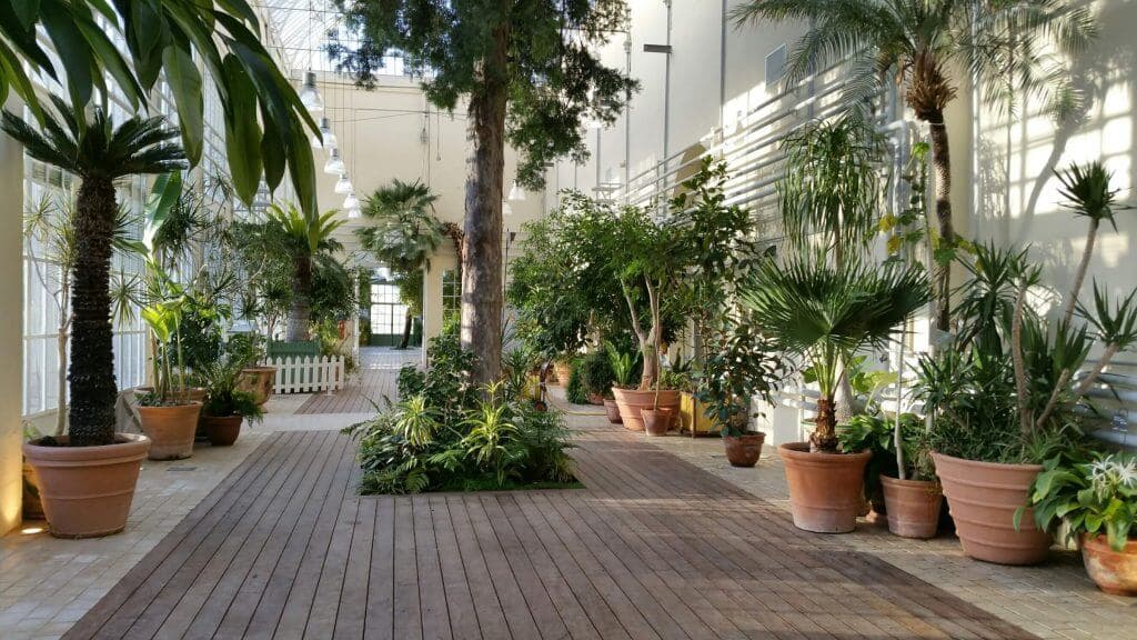 JARDIN DES PLANTES & GRANDE GALERIE DE L’EVOLUTION 2